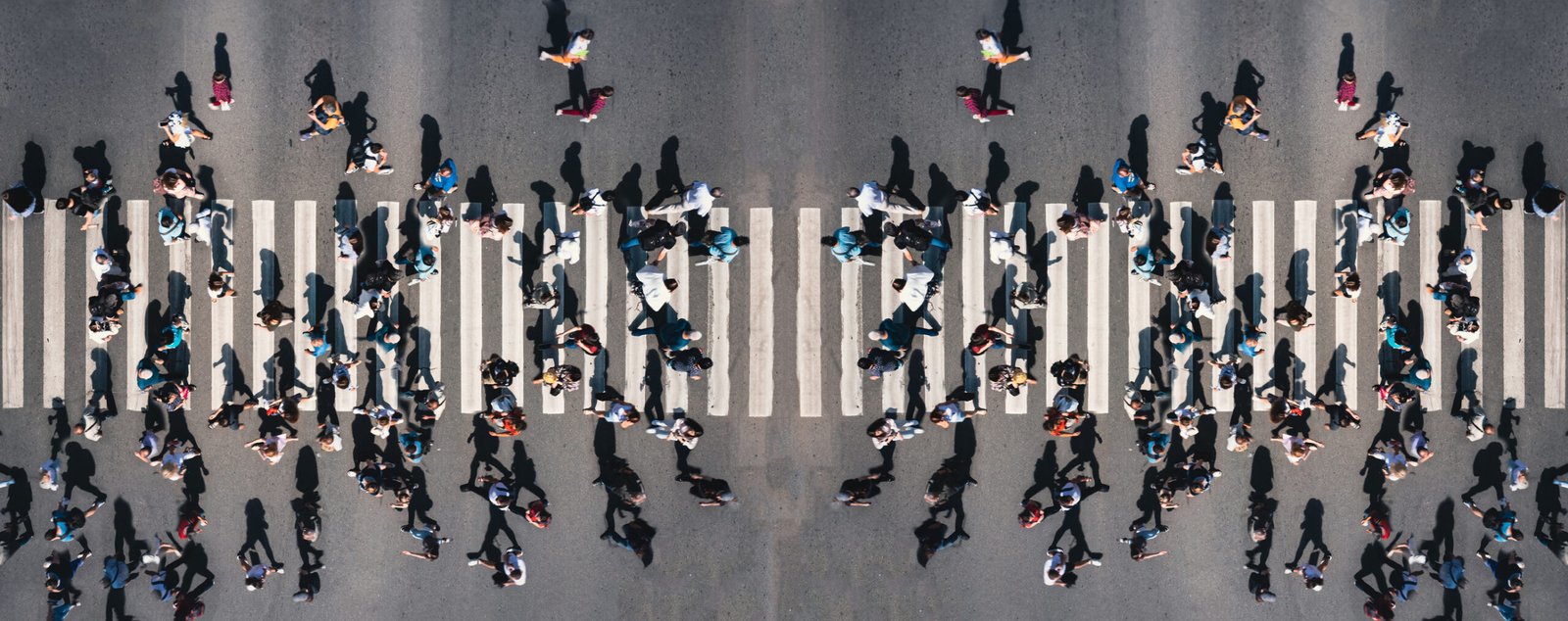 Different people at a pedestrian crossing in the city - panorama shot. People at a zebra pedestrian crossing - a lot of pedestrians in an overcrowded city on a sunny day. Aerial drone banner shot.